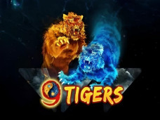 9 Tigers