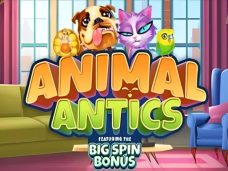 Animal Antics