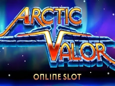 Arctic Valor