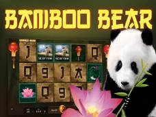 Bamboo Bear