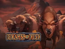 Beasts of Fire