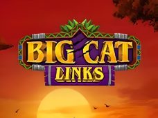 Big Cat Links