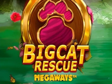 Big Cat Rescue Megaways