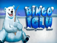 Bingo Iglu