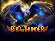 Bird of Thunder