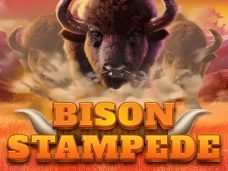 Bison Stampede