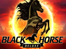 Black Horse Deluxe