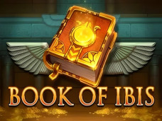 Book of Ibis