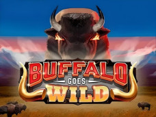 Buffalo Goes Wild