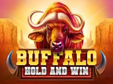 Buffalo Hold and Win