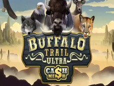 Buffalo Trail Ultra