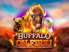 Buffalo on Fire!