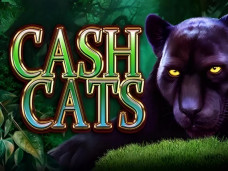 Cash Cats