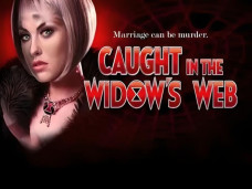 Caught in the Widow’s Web