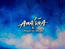 Cirque Du Soleil Amaluna