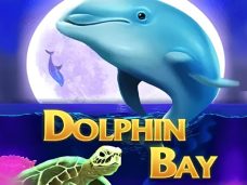 Dolphin Bay