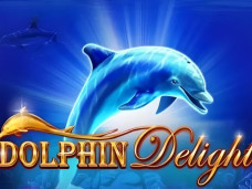 Dolphin Delight