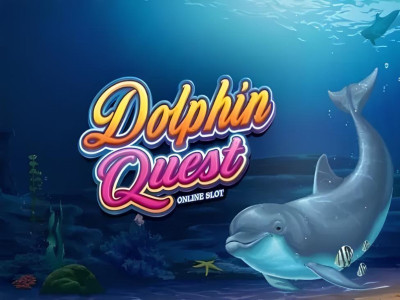 Dolphin Quest