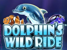 Dolphin’s Wild Ride