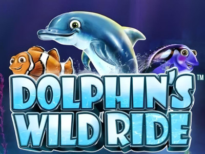 Dolphin’s Wild Ride