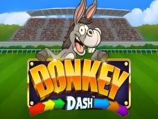 Donkey Dash