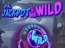 Dr. Jackpot & Mr. Wild