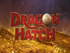 Dragon Hatch