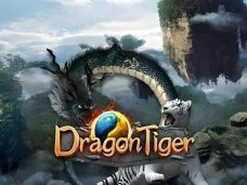 Dragon Tiger