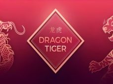 Dragon Tiger