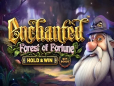 Enchanted: Forest of Fortune