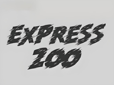 Express 200