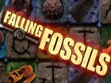 Falling Fossils