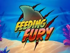 Feeding Fury