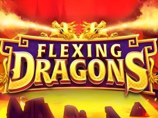 Flexing Dragons