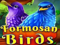 Formosan Birds