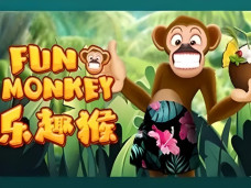 Fun Monkey