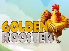 Golden Rooster