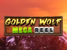 Golden Wolf Mega Reel