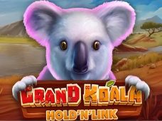 Grand Koala