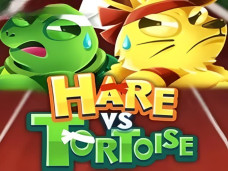 Hare vs. Tortoise