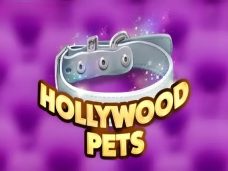 Hollywood Pets