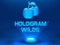 Hologram Wilds