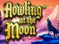 Howling At The Moon