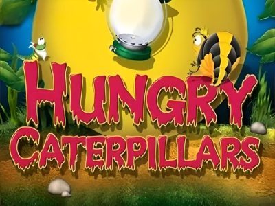 Hungry Caterpillars