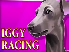 Iggy Racing