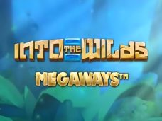 Into The Wilds Megaways