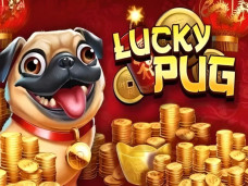 Lucky Pug