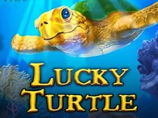 Lucky Turtle