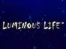 Luminous Life