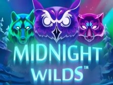 Midnight Wilds